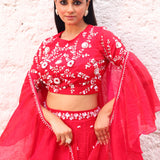 Red Partywear Lehenga With Sequins And Stone Embroidery Close Up