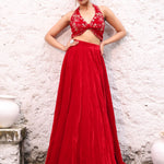 Red Velvet Lehenga with Hand Embroidered Halter Neck full