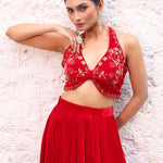 Red Velvet Lehenga with Hand Embroidered Halter Neck close up