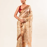 Red and Gold Tissue Silk Saree – Cut Dana Embroidery Pallu Detail – Anvi Couture