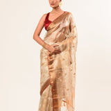 Red and Gold Tissue Silk Saree – Cut Dana Embroidery Pallu Detail – Anvi Couture