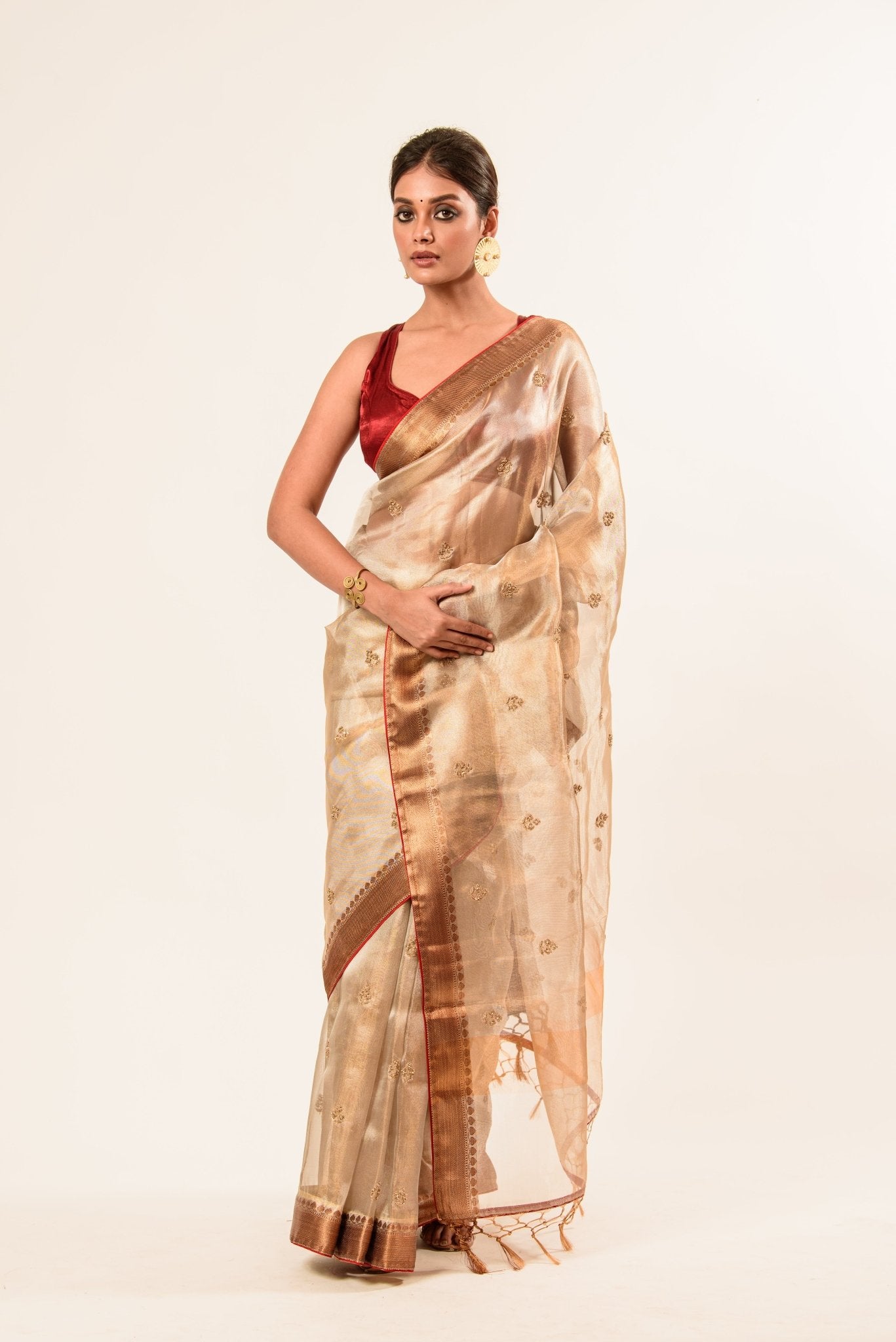 Red and Gold Tissue Silk Saree – Cut Dana Embroidery Pallu Detail – Anvi Couture