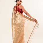 Red and Gold Tissue Silk Saree – Cut Dana Embroidery Full Drape View – Anvi Couture