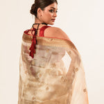 Red and Gold Tissue Silk Saree – Cut Dana Embroidery Full Drape View