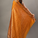 Rust Orange Silk Saree With Thread Woven Border and Pallu - Anvi Couture