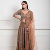 Mocha Brown Hand Embroidered Lehenga Set with Cut dana Embellishment