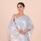 Silver Woven Tissue Silk Saree close up