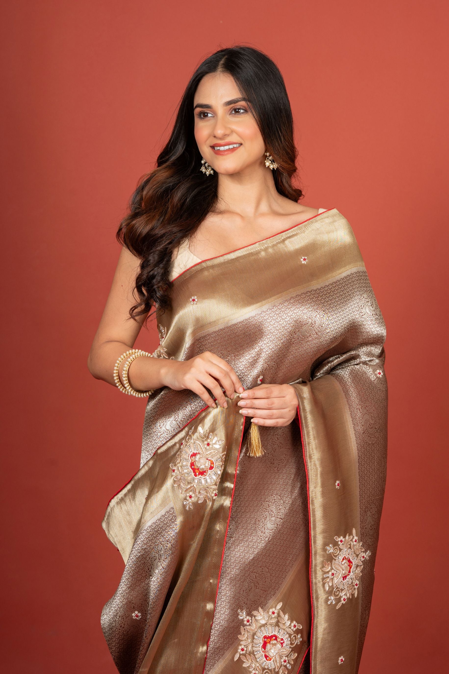 Silver and Gold tissue Silk Saree With Embroidered Work Close Up
