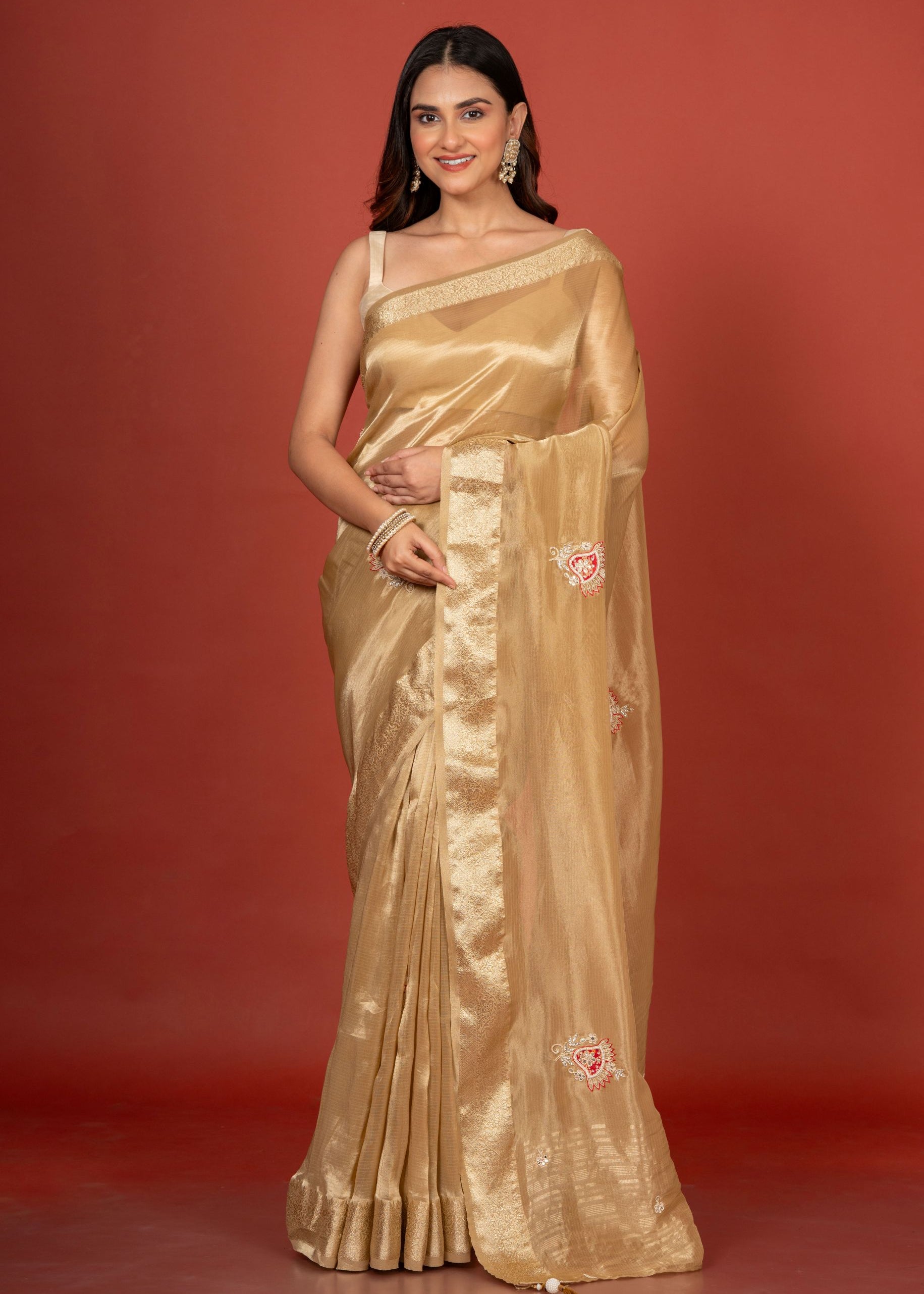 Tissue Organza Embroidered Saree Full
