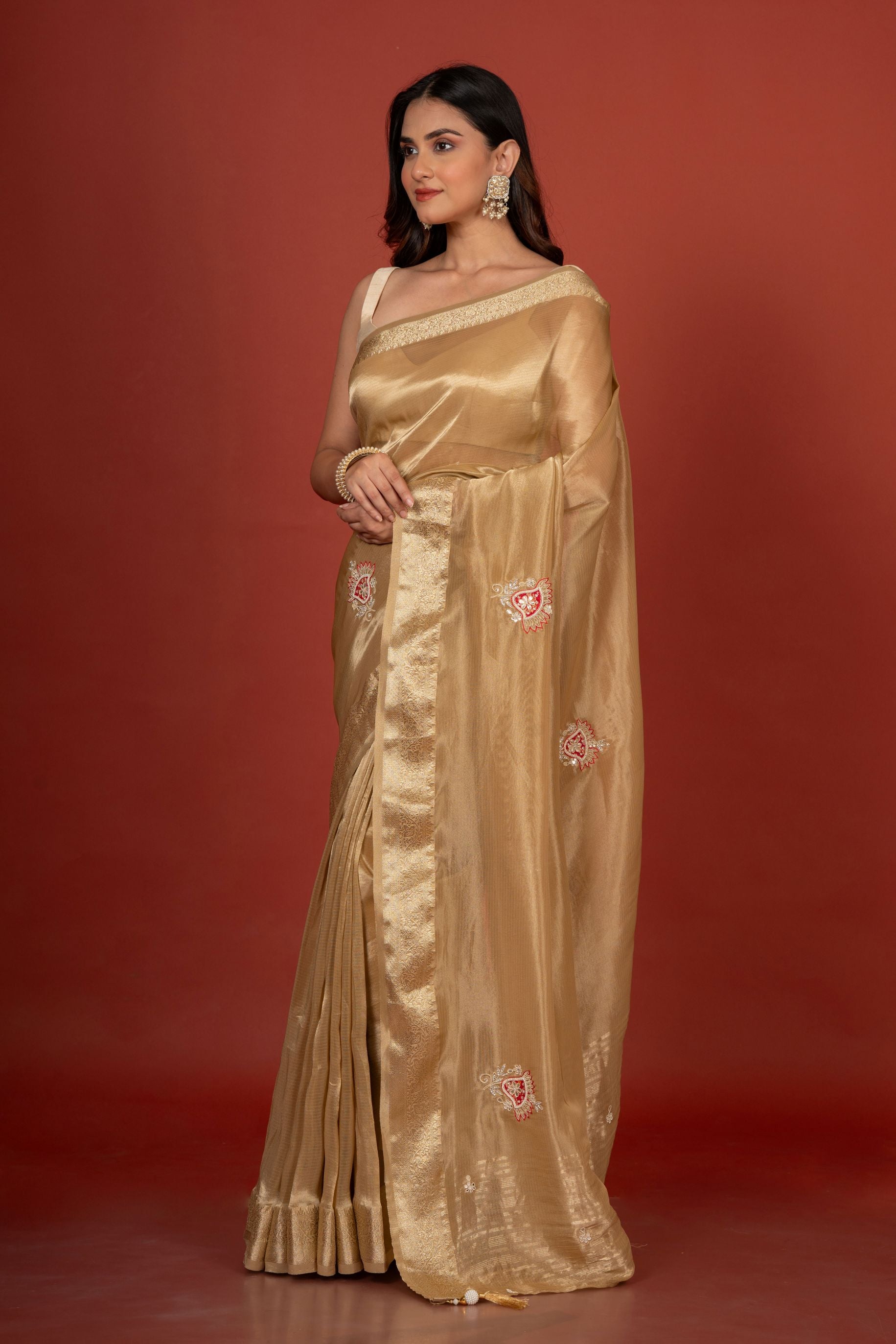 Tissue Organza Embroidered Saree Front
