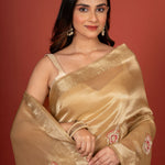 Tissue Organza Embroidered Saree Close Up
