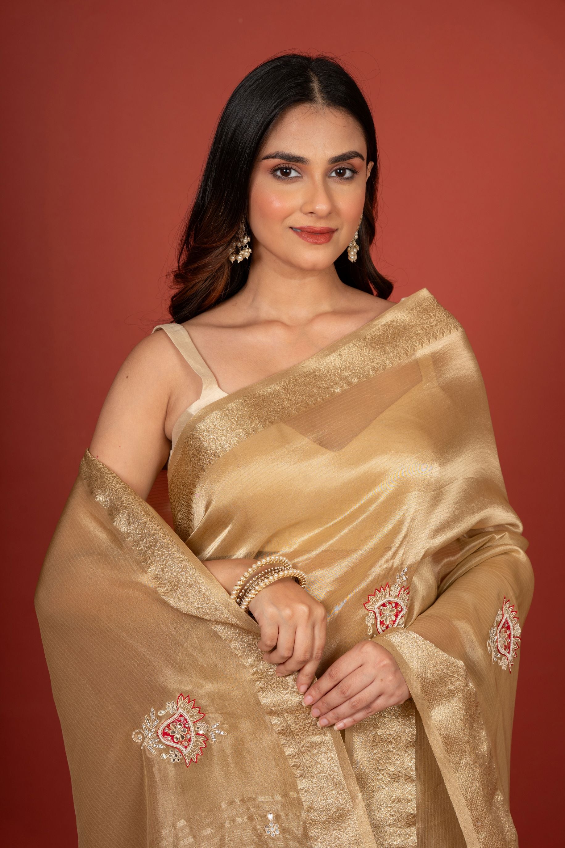 Tissue Organza Embroidered Saree Close Up
