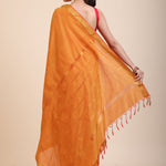 Yellow Cotton Handloom Saree with Golden Border Back