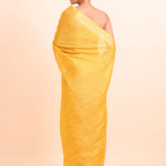 Yellow Handloom Silk Saree With Golden Checks Back View