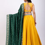 Yellow and Green Lehenga Set back