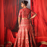 Red Banarasi Bridal Lehenga with Embroidered Work